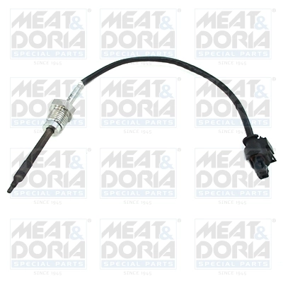 Sensor, exhaust gas temperature